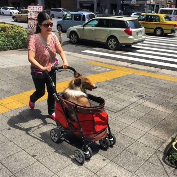 Japan is Kinda Weird (47 photos)