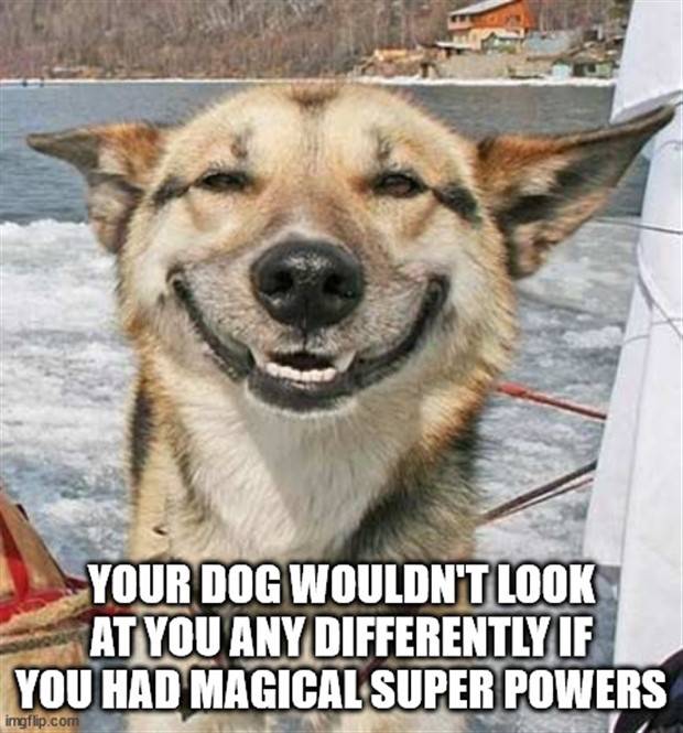 Funny Shower Thoughts #54 (36 photos)