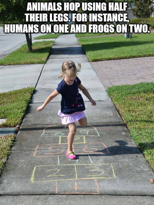 Funny Shower Thoughts #54 (36 photos)