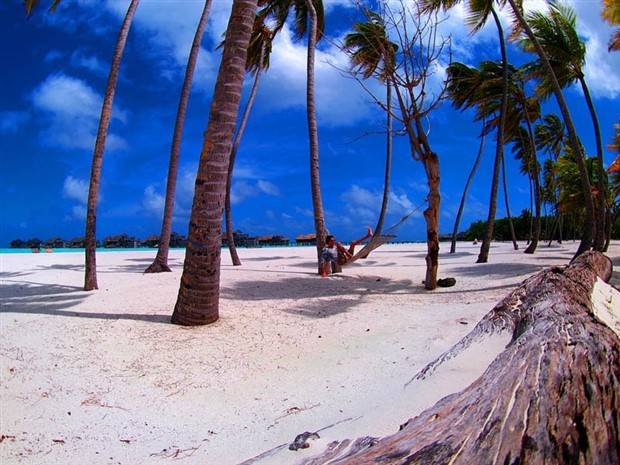 Fantastic Hammocks for Lounging (20 photos)