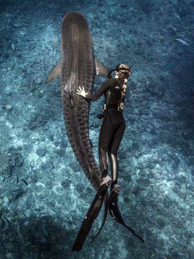 Awesome Pictures You Shouldn’t Miss #57 (42 photos)