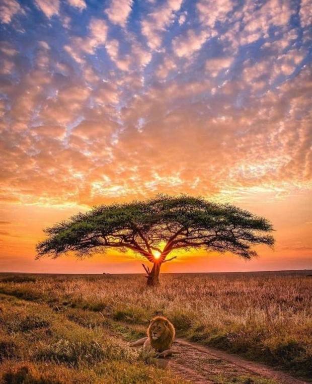 Awesome Pictures You Shouldn’t Miss #57 (42 photos)