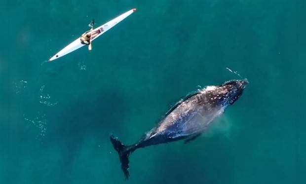 Awesome Pictures You Shouldn’t Miss #57 (42 photos)