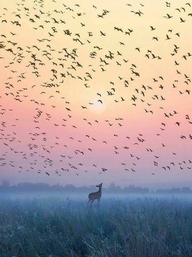 Awesome Pictures You Shouldn’t Miss #57 (42 photos)