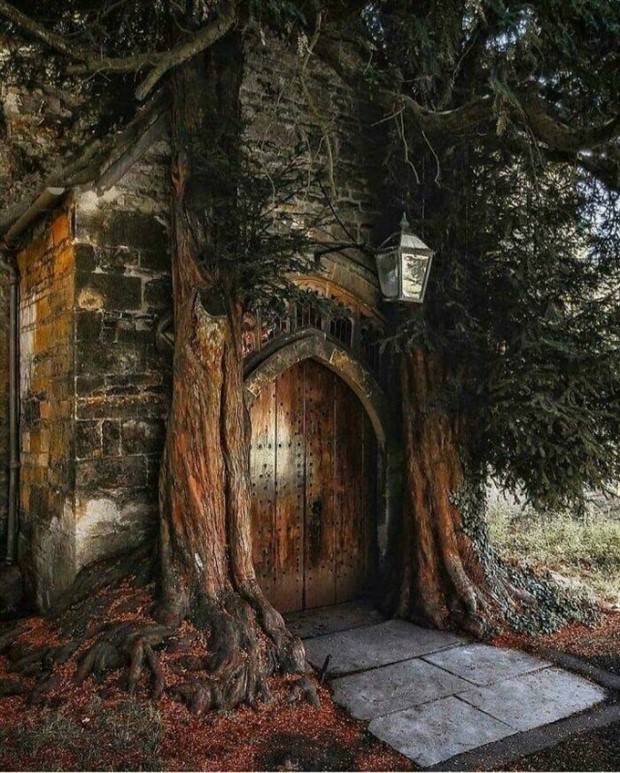 Awesome Pictures You Shouldn’t Miss #57 (42 photos)