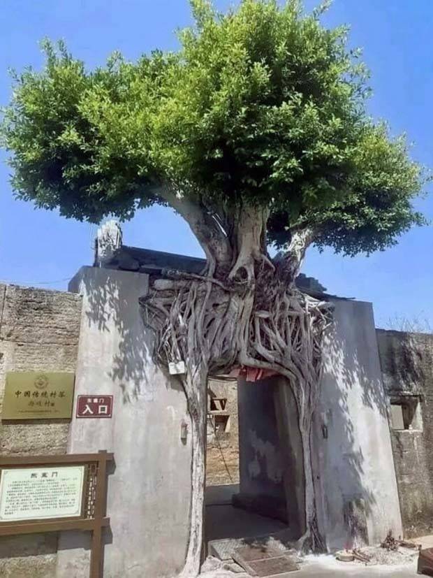 Awesome Pictures You Shouldn’t Miss #57 (42 photos)