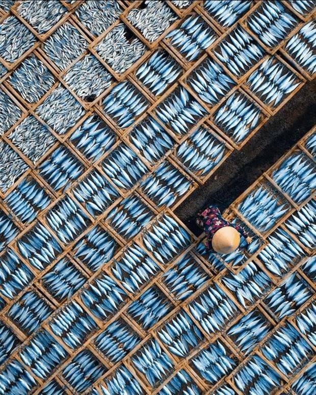 Awesome Pictures You Shouldn’t Miss #57 (42 photos)