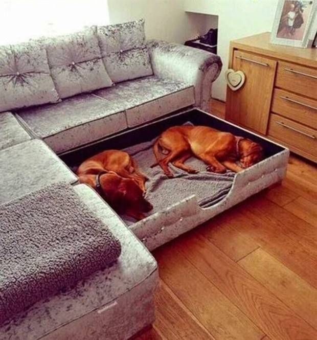 Damn, I Want This! #18 (29 photos)