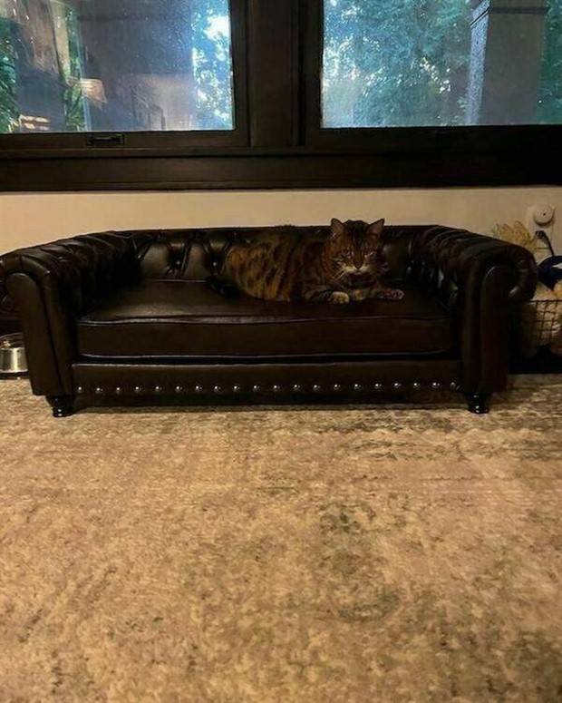 Damn, I Want This! #18 (29 photos)