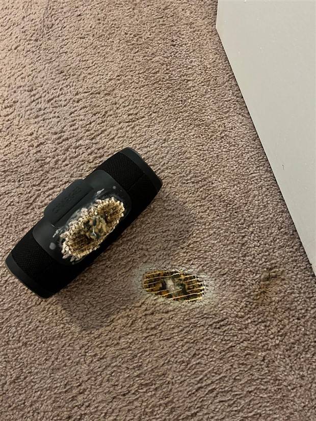 Shit Happens Regularly, Get Used To It #235 (39 photos)