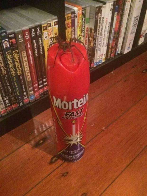 Shit Happens Regularly, Get Used To It #235 (39 photos)