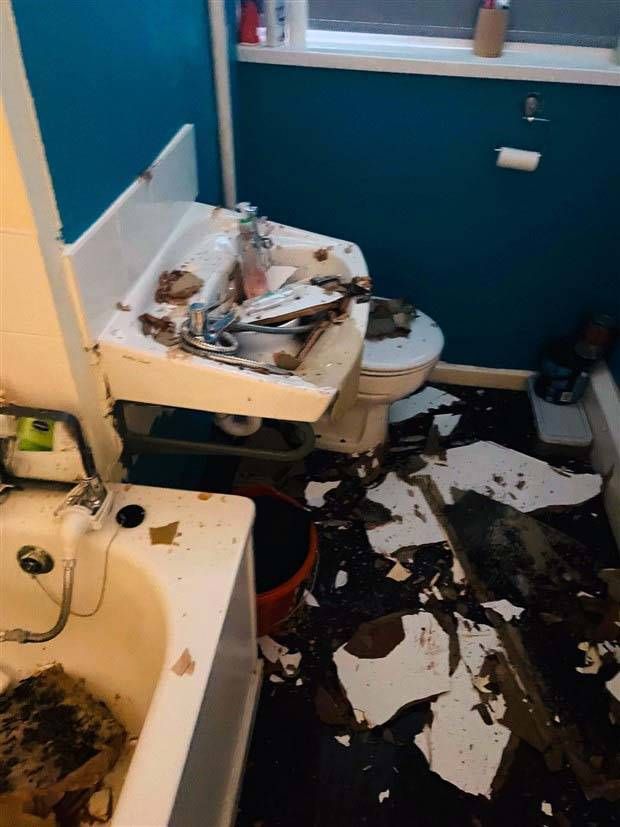 Shit Happens Regularly, Get Used To It #235 (39 photos)