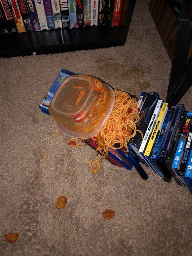 Shit Happens Regularly, Get Used To It #235 (39 photos)