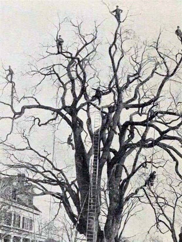 A Selection of Random Black and White Photos from the Past #6 (42 photos)