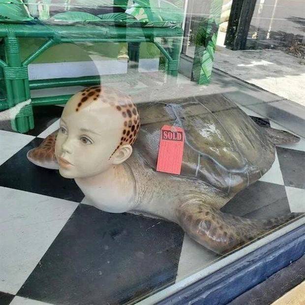 Strange Things Found in Thrift Stores #14 (36 photos)