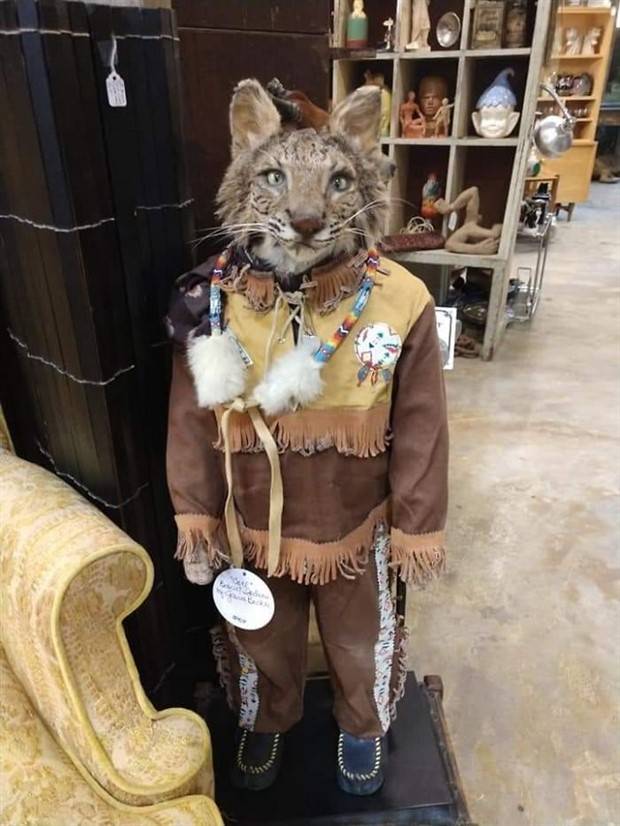 Strange Things Found in Thrift Stores #14 (36 photos)