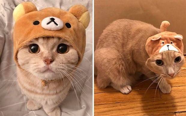 expectation vs reality 16 Expectation Vs Reality #52 (44 photos)