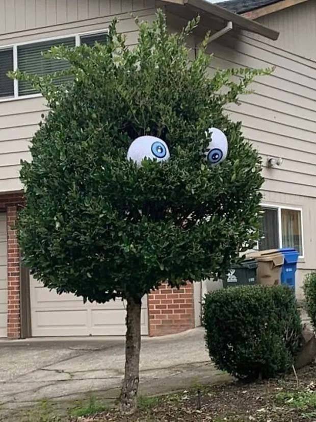 funny gardens 4 Nutty Garden Decorations (30 photos)