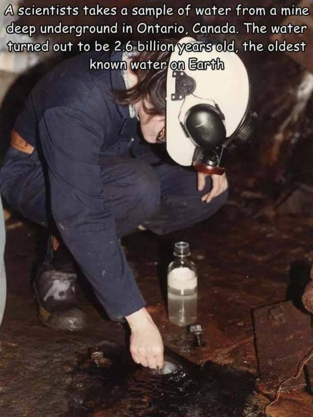 Interesting Pictures With Captions #58 (40 photos)