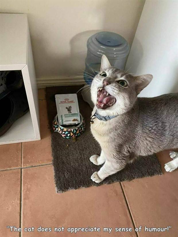 Interesting Pictures With Captions #58 (40 photos)