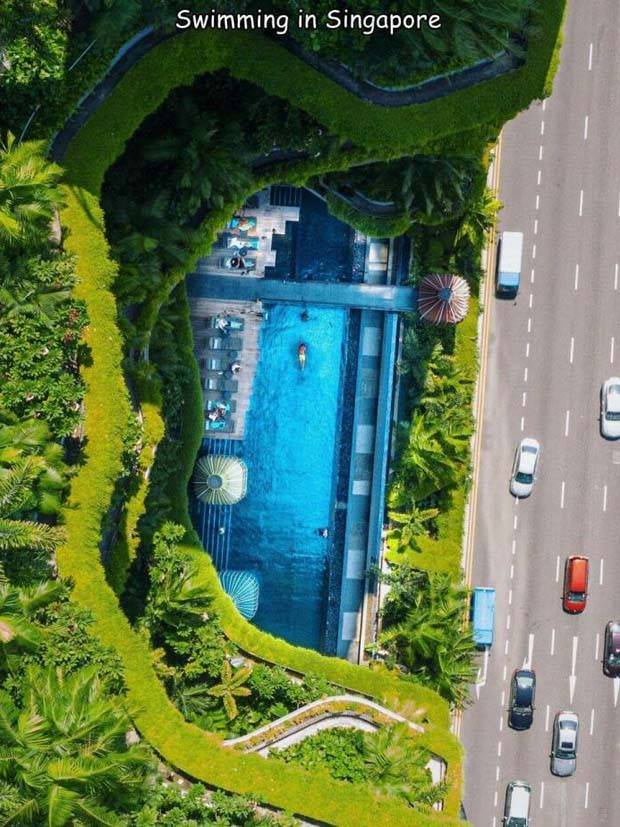 Interesting Pictures With Captions #58 (40 photos)