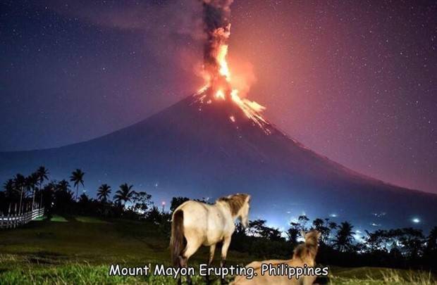 Interesting Pictures With Captions #58 (40 photos)