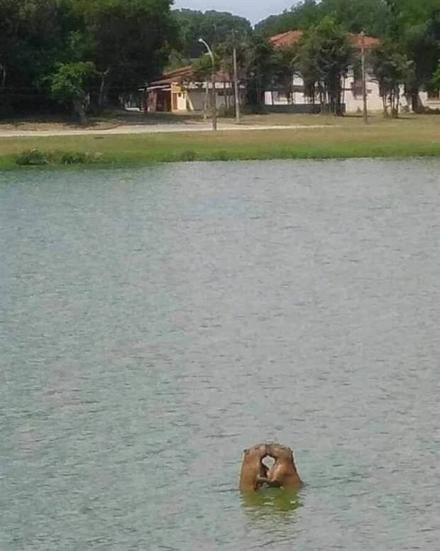 Klyker Picdump #1242 (51 photos)