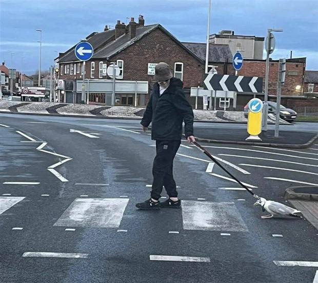 Klyker Picdump #1242 (51 photos)