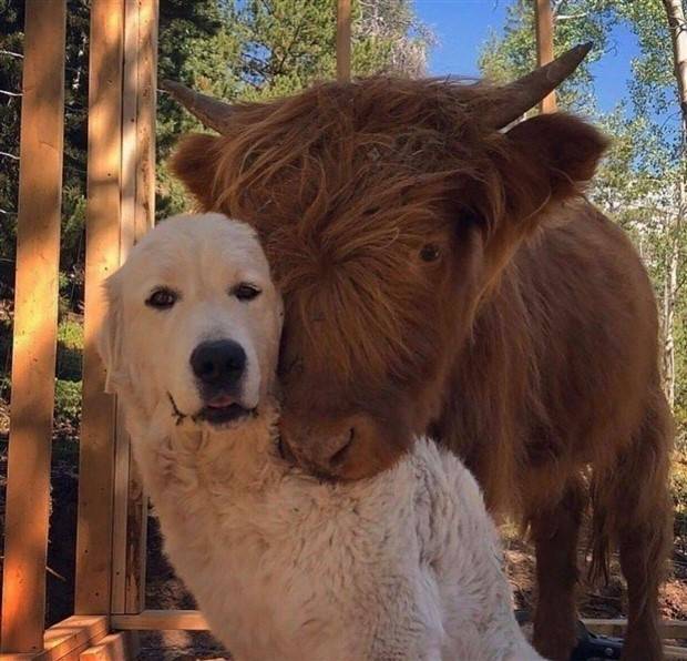 Klyker Picdump #1242 (51 photos)