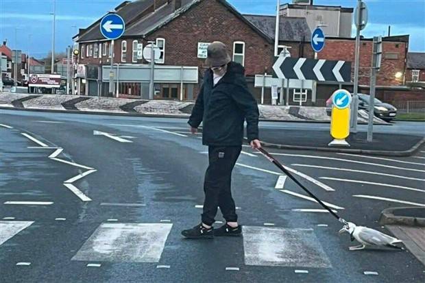 Klyker Picdump #1242 (51 photos)