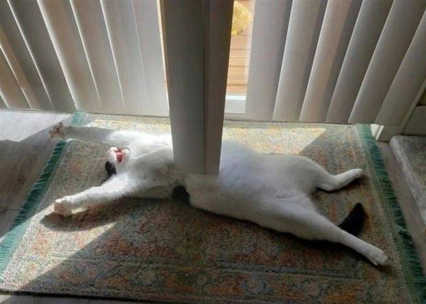 Klyker Picdump #1242 (51 photos)