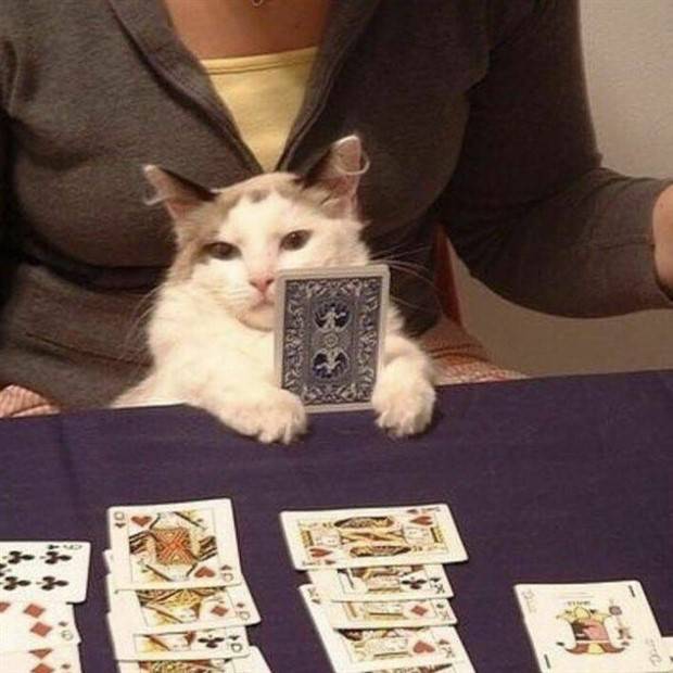 Klyker Picdump #1242 (51 photos)