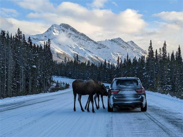 Klyker Picdump #1242 (51 photos)