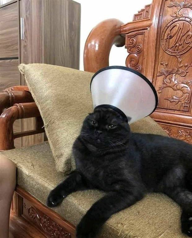 Klyker Picdump #1242 (51 photos)