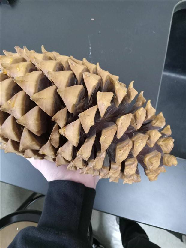 Klyker Picdump #1242 (51 photos)