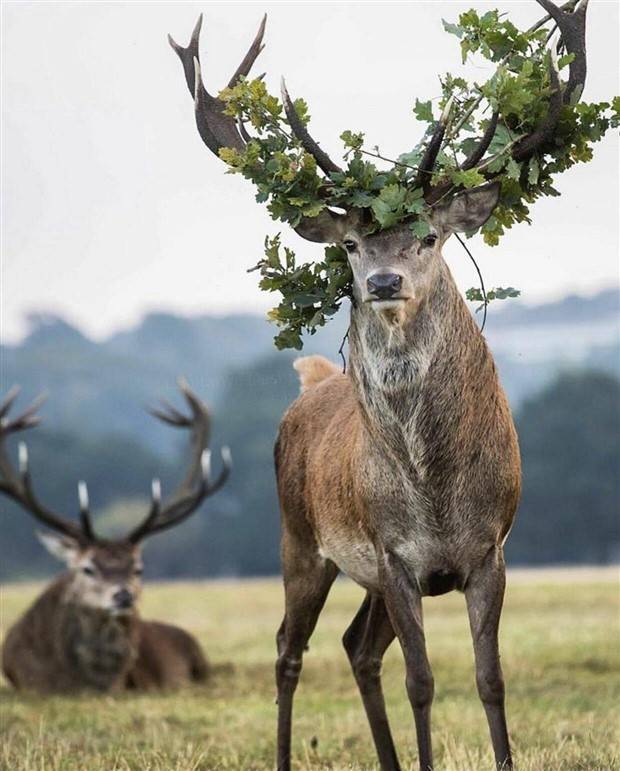 Klyker Picdump #1242 (51 photos)