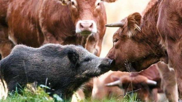 Klyker Picdump #1242 (51 photos)