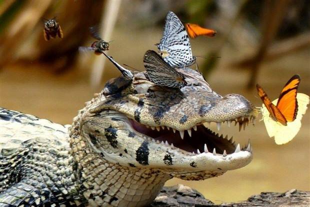 Klyker Picdump #1243 (52 photos)