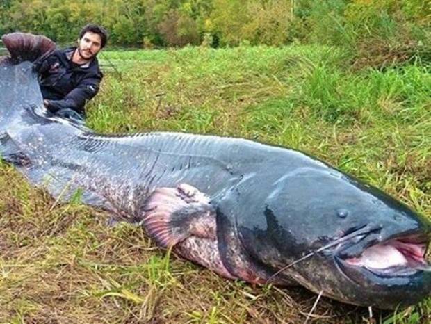 Klyker Picdump #1243 (52 photos)