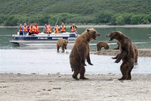 Klyker Picdump #1243 (52 photos)