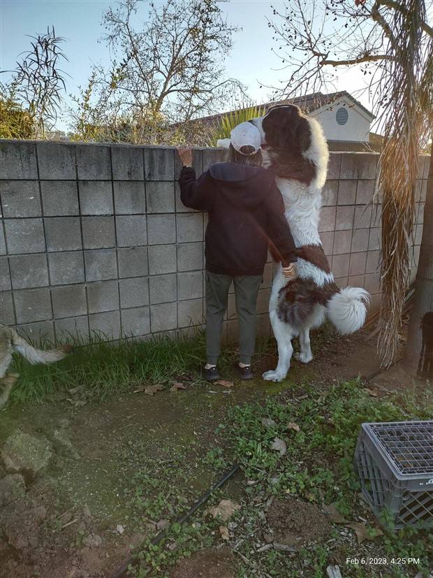 Klyker Picdump #1243 (52 photos)