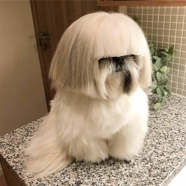 Klyker Picdump #1243 (52 photos)