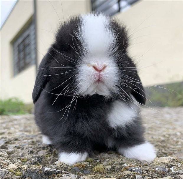 Klyker Picdump #1243 (52 photos)