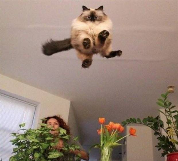 Klyker Picdump #1243 (52 photos)