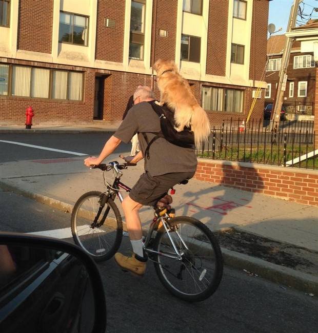 Klyker Picdump #1246 (55 photos)