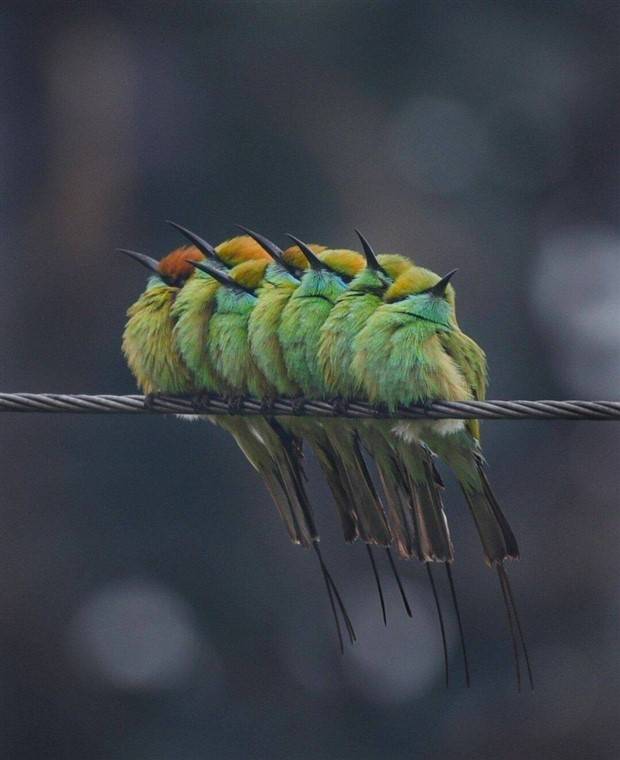 Klyker Picdump #1246 (55 photos)