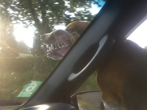 Klyker Picdump #1246 (55 photos)