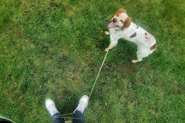 Klyker Picdump #1246 (55 photos)