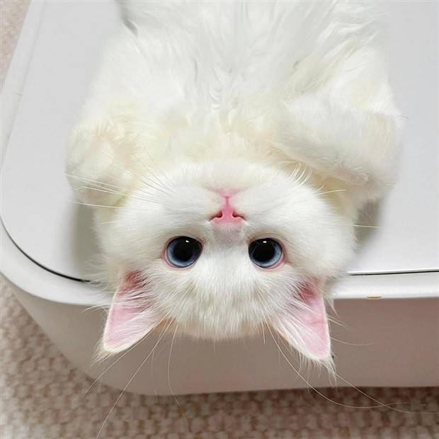 Klyker Picdump #1246 (55 photos)