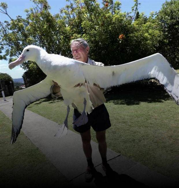 Klyker Picdump #1246 (55 photos)